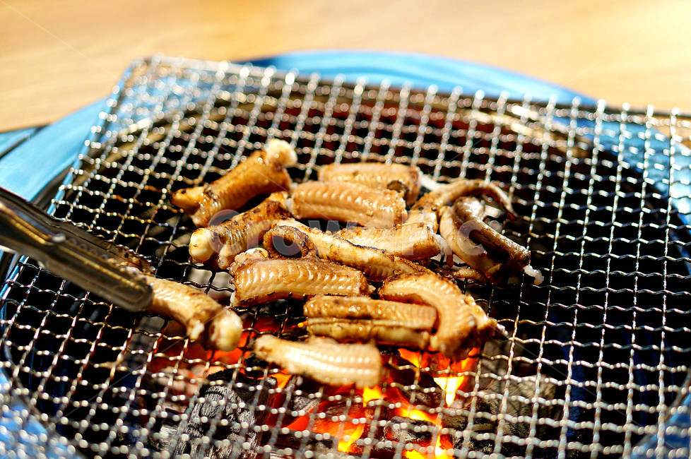 꼼장어,꼼장어구이,수산물,해산물,조개,술안주,꼼장어직화구이,꼼장어숯불구이
