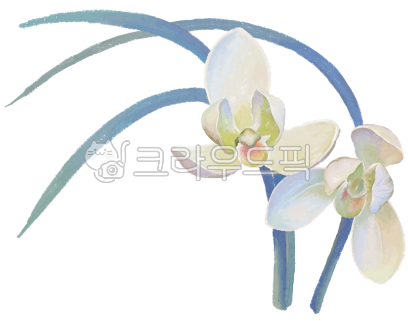 꽃,난초,난,예쁜꽃,손그림,식물,난꽃,꽃다발