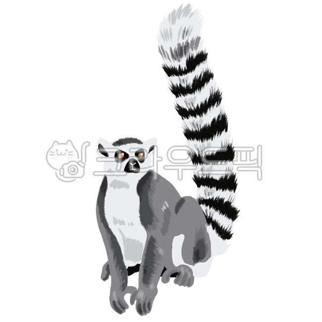 동물,여우원숭이,원숭이,얼룩꼬리원숭이,동물일러스트,일러스트,정글,열대