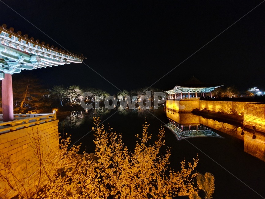 경주,안압지,동궁과월지,야경,유적지