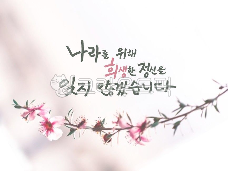 patriotic,June,Anniversary of Democratic Struggle,War,Memorial Day,June 6th,Patriotic Veterans Month Image Contest,625 anniversary,Veterans Affairs,625,democratic uprising,calligraphy