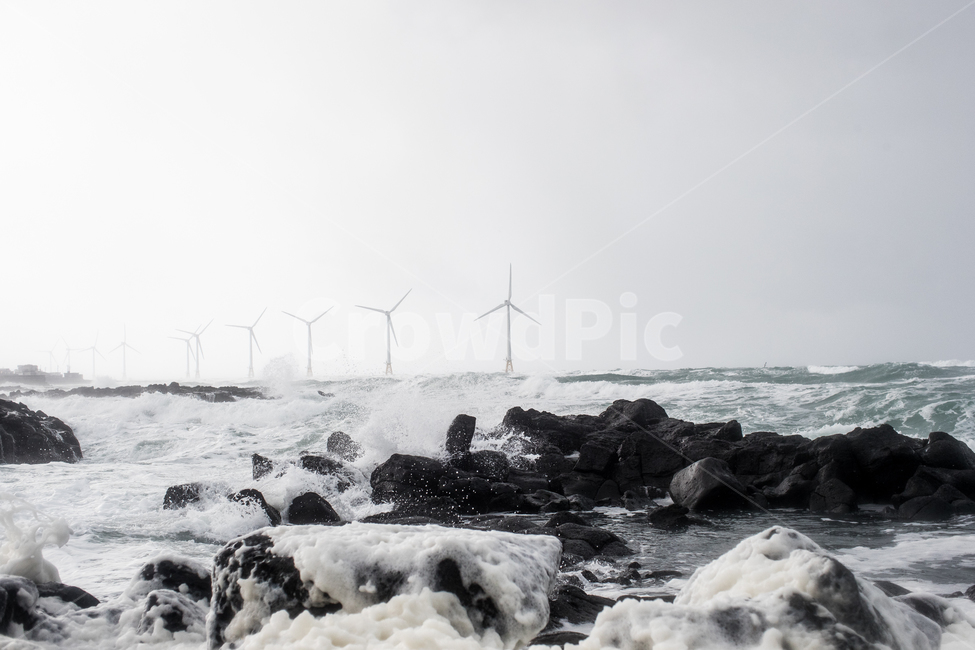 바다,파도,풍력발전기,제주도,바람,제주도,jeju,jeju island,산업,industry,industrial,에너지산업,energy industry,cow,소,cattle,가축,mammal,포유류,animal,동물