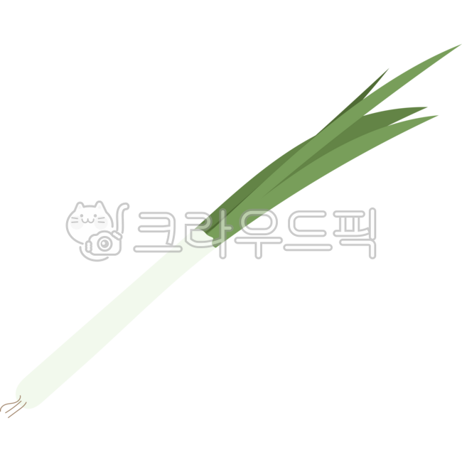 파, 대파, 파이미지, 대파이미지, 파일러스트, 사진,이미지,일러스트,캘리그라피 - newzing작가