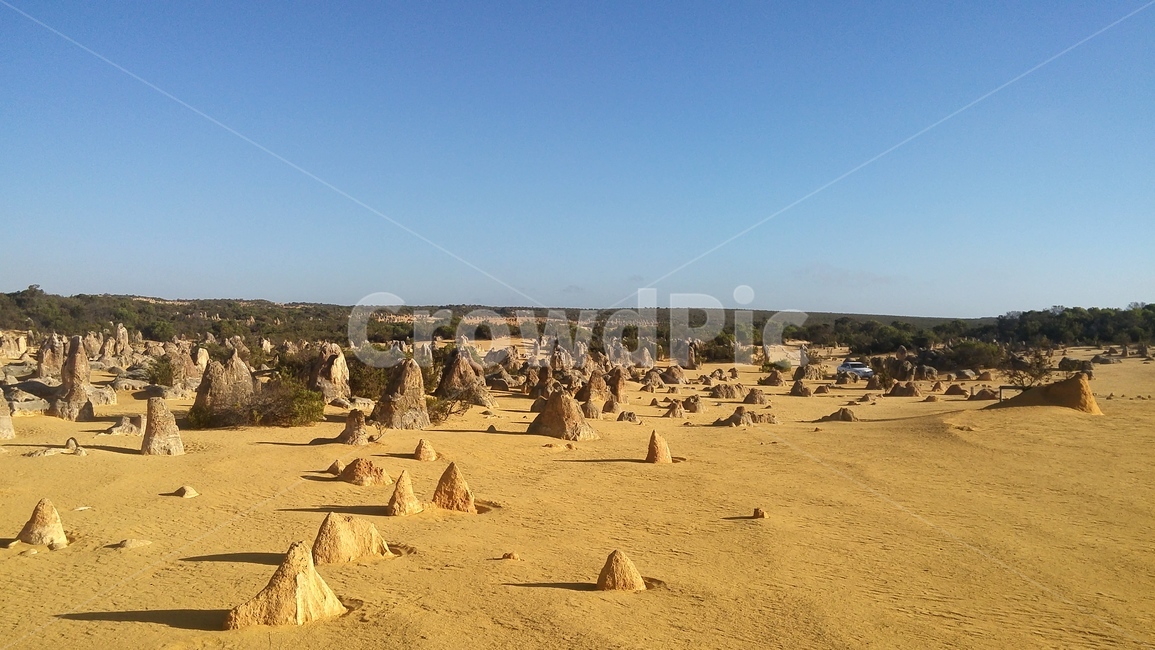 pinnacles,pinnaclesdesert,피나클스,모래,사막,돌기둥,자연현상,돌,노을,sunset,서호주,westperth,perth,desert,신기한