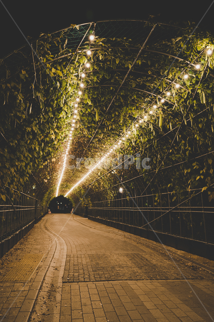 터널,길,출구,조명,조용한,tunnel,야경,밤,풍경,nightscape,night,landscape,건축물,건물외관,exterior,building,structure,architecture,construction,light,빛,flare,플레어,walkway,보도,path,통로
