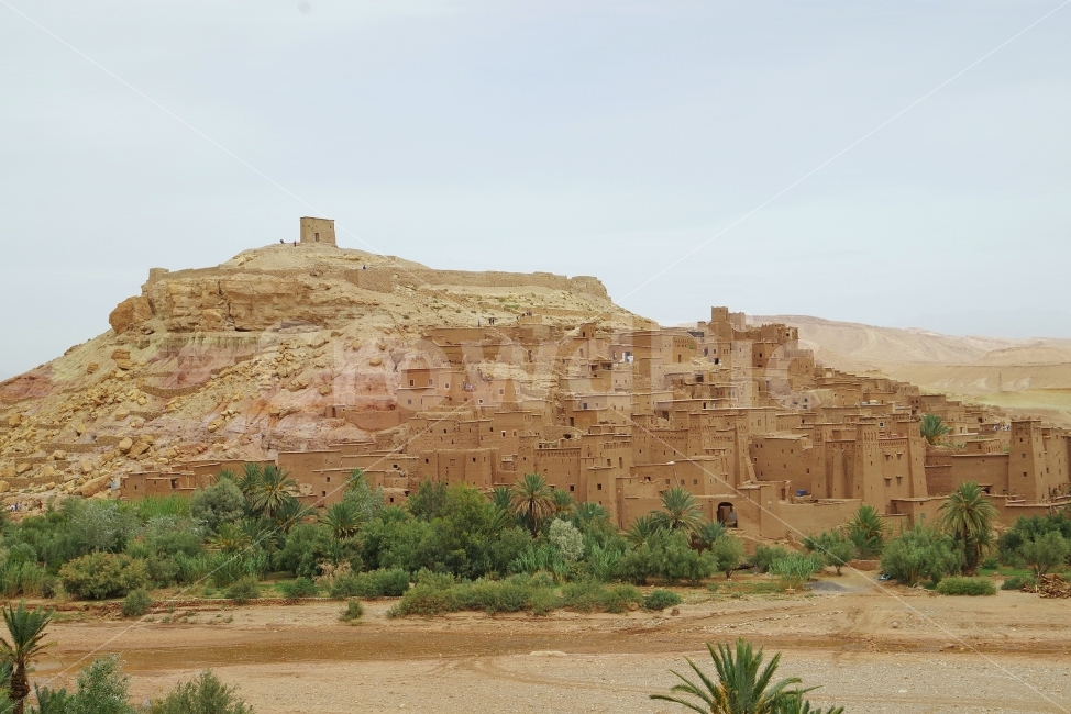모로코,여행,와르자자트,maroc,travel,OUARZAZATE,도시,풍경,city,landscape,해외,외국,세계,foreign,oversea,world,plant,식물