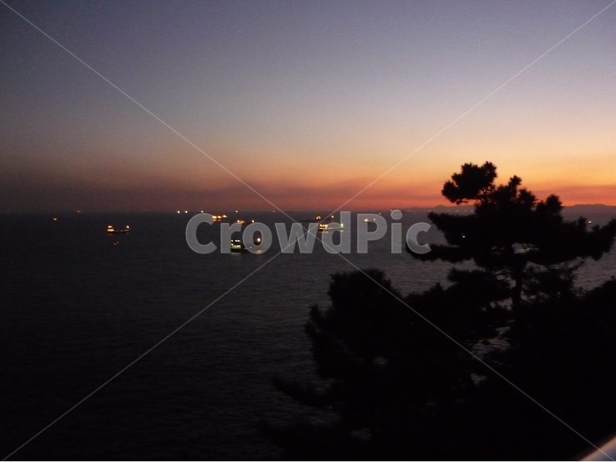 부산,태종대,야경,나무,배,밤,자연,풍경,nature,landscape,outdoors,옥외,sky,하늘,red sky,붉은 하늘,dusk,황혼,dawn,새벽,sunset,일몰