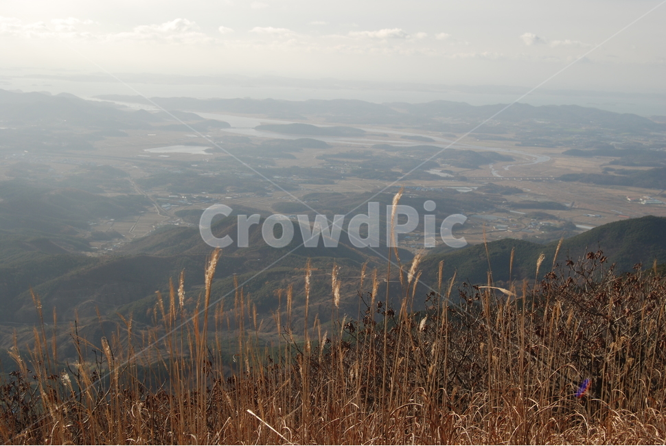 오서산,자연휴양림,보령시,100대명산,등산로,능선,자연,풍경,nature,landscape,한국자연풍경,한국자연경관,korea nature landscape,grass,잔디,plant,식물,lawn,reed,갈대
