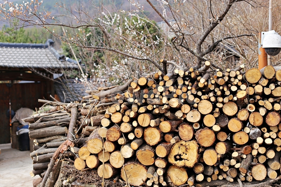 최참판댁,목재,땔감,나무,wood,woods,시골,마을,풍경,landscape,country,rural,town,한국전통,한국문화,korean traditional,korean culture