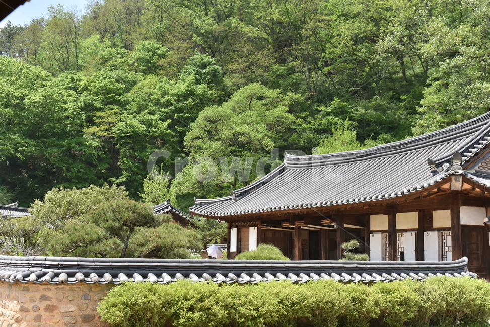 old house,construct,oldhouse,house,building,wooden building,Songso Old House,Joseon Dynasty,traditional,tile,garden,tradition,tiled house