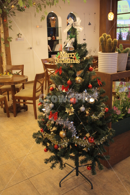 크리스마스트리,성탄절트리,트리,merrychristmas,메리크리스마스,크리스마스나무,성탄절나무,트리꾸미기,겨울,계절,winter,season,기념일,축하,anniversary,congratulation,celebrate,celebration,메리크리스마스,성탄절,merry christmas,인테리어,실내디자인,interior design