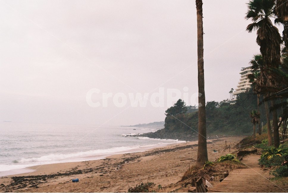 바다,나무,파도,하늘,제주도,자연,풍경,nature,landscape,해변,바다,beach,sea,감성,sensible,feeling