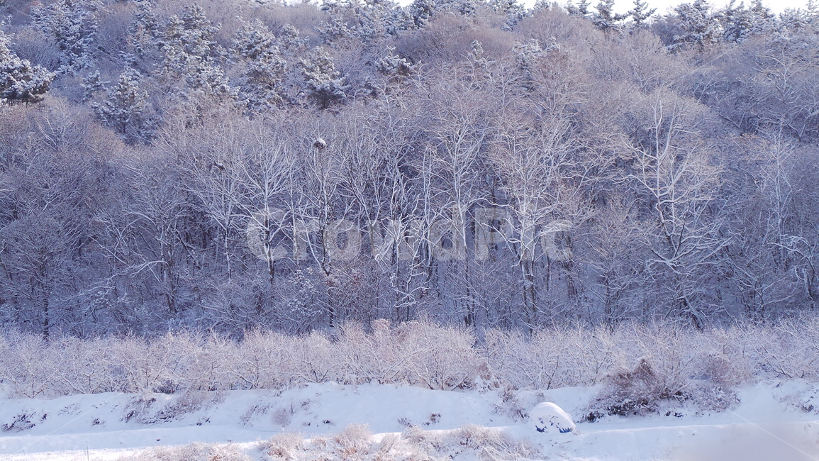 겨울,설산,눈,겨울산,흰색,하얀색