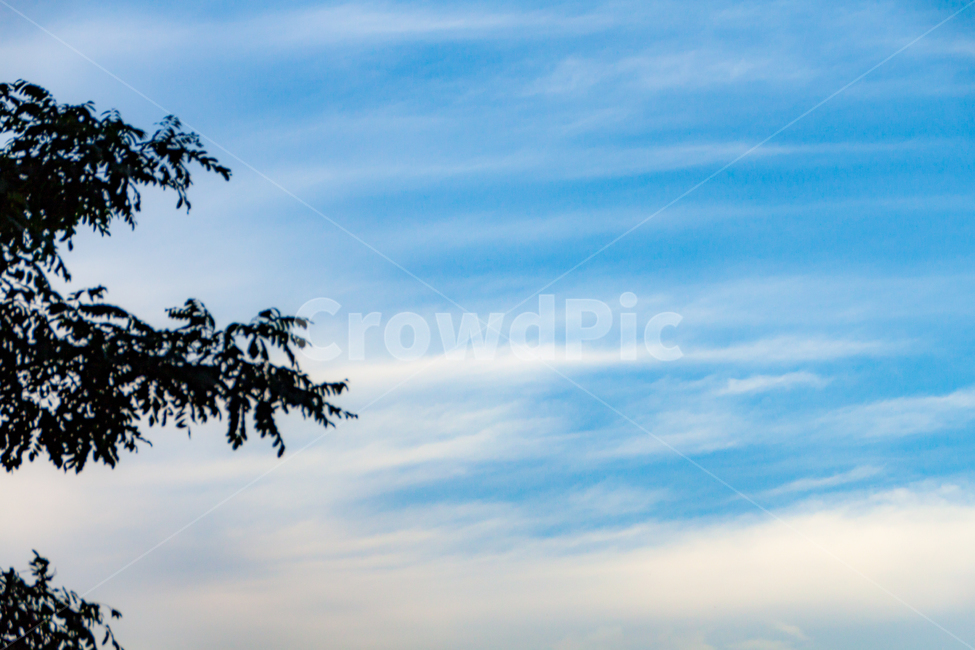 하늘,sky,자연,푸름,nature