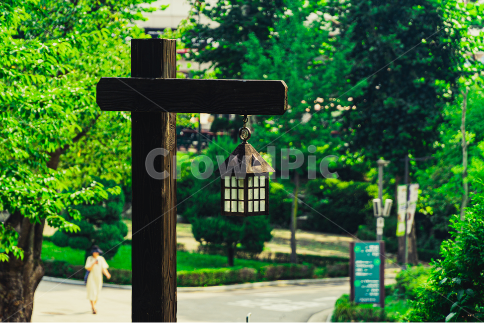 wood,house,green,nature,background,park,garden,공원,작은집,풍경,배경,자연