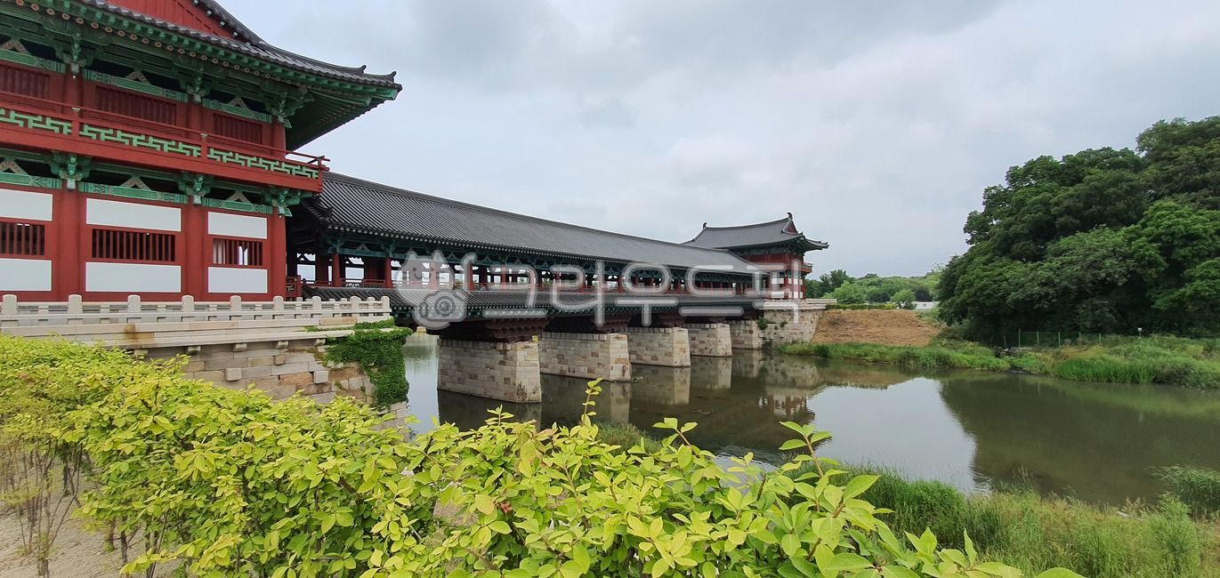 건축,다리,건물,경주,월정교