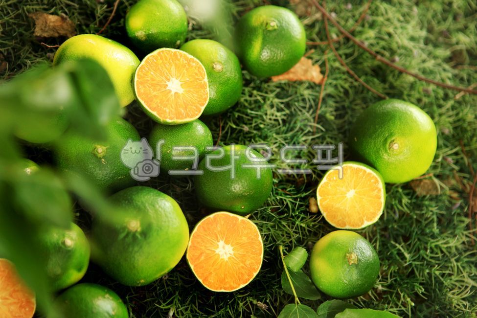 mandarin,Making jam,green,citrus fruits,fruit,lime,fruit syrup,Orange,food,Homemade fruit syrup,citrusfruit,orange,Lime,jam,plant,green tangerine
