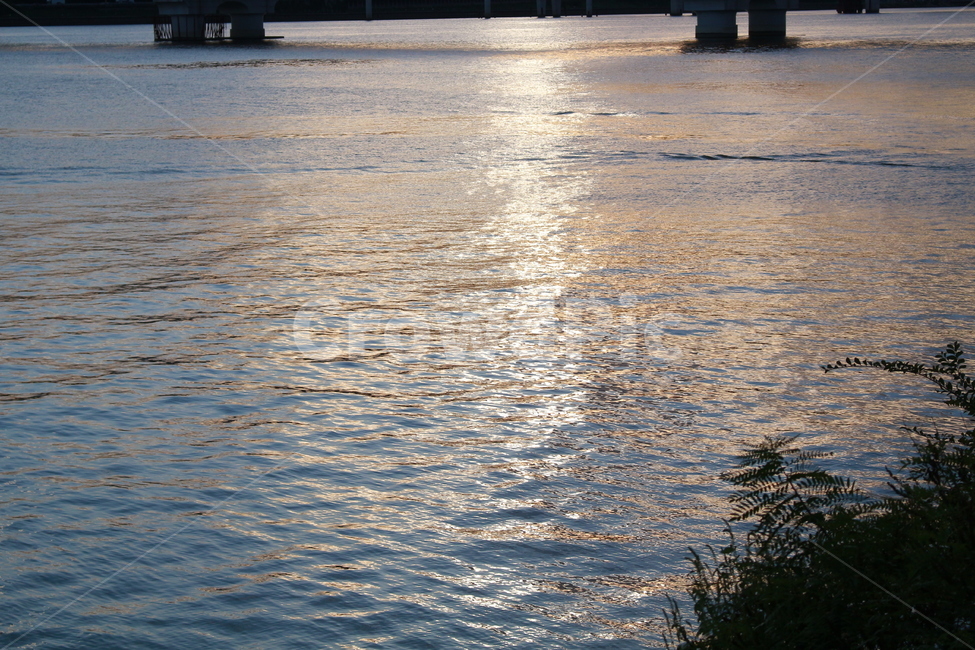 한강,강,오후,저녁,물살,물결,다리,자연,풍경,nature,landscape