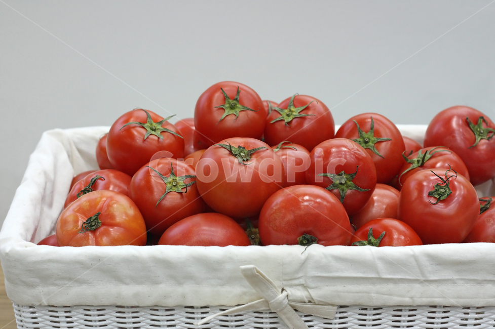 토마토,과일,야채,영양,건강,농산물,농작물,음식,재료,음식재료,식재료,오브젝트,생활,신선한,여러개,빨간,빨강,빨간색,빨강색,레드,컬러,칼라,컬러풀,식품,클로즈업,꼭지,바구니,음식,식재료,요리,food,cook,meal,dishes,food reserves,채소,야채,vegetables