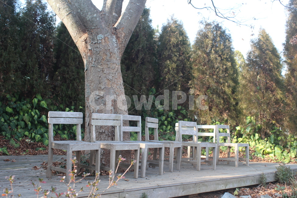 나무,tree,의자,쓸쓸한,고요한,외로운,정적인,자연,풍경,nature,landscape,wood,plywood,합판