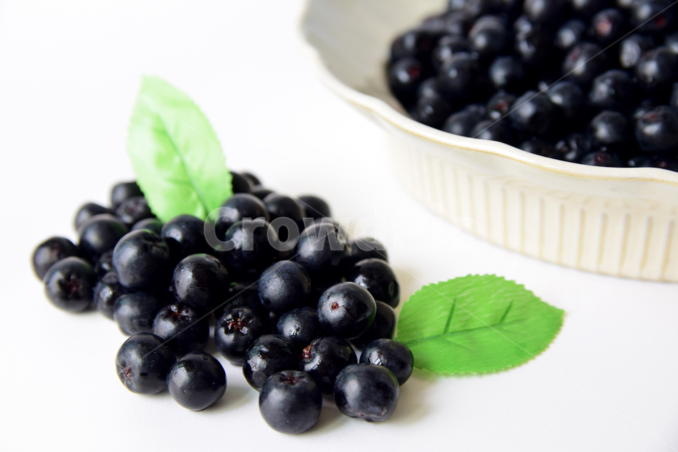 아로니아,아로니아베리,베리류,음식,식재료,과일,열매,베리,아로니아열매,접시,aronia,aroniaberry,plate,fruit,berry,food,과일,열매,fruit