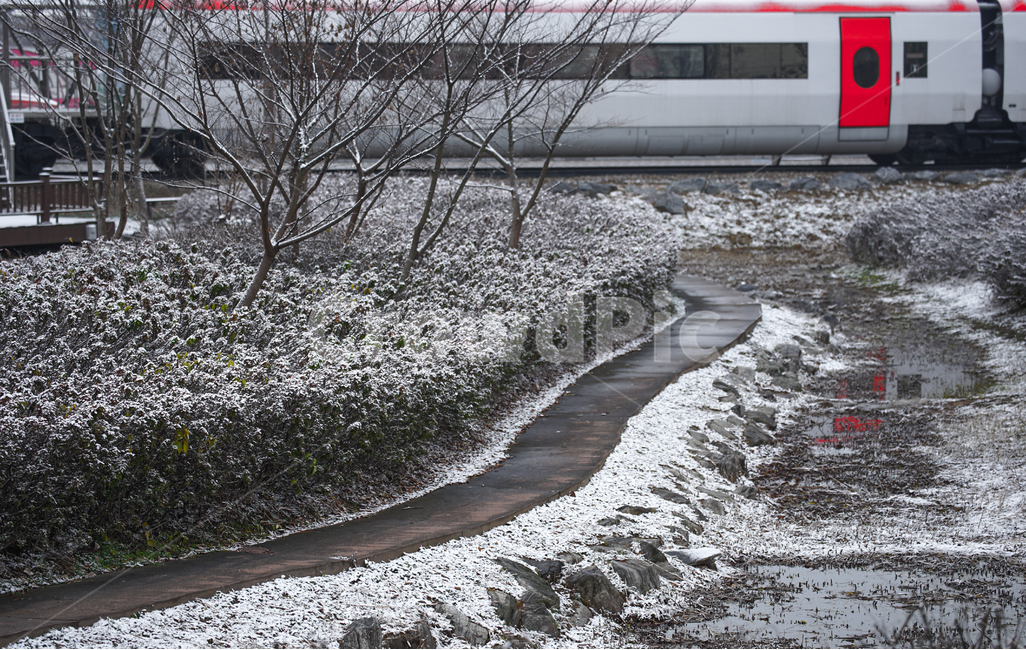 겨울,눈,길,기차,열차,계절,감성,빨간색,문,겨울,계절,winter,season,자연,풍경,nature,landscape,transportation,교통,rail,레일,train track,기찻길,railway,철도
