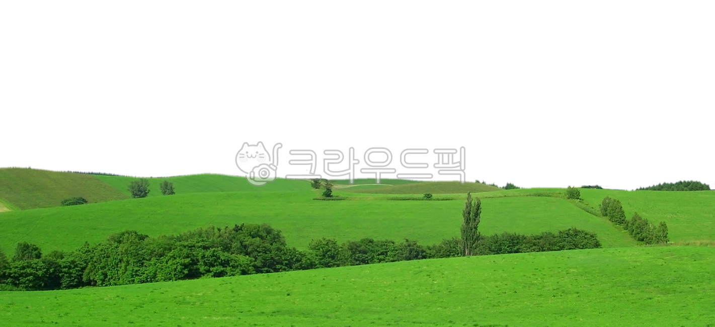 들판, 초원, 풀밭, 자연, 배경, 사진,이미지,일러스트,캘리그라피 - 프리이미지작가