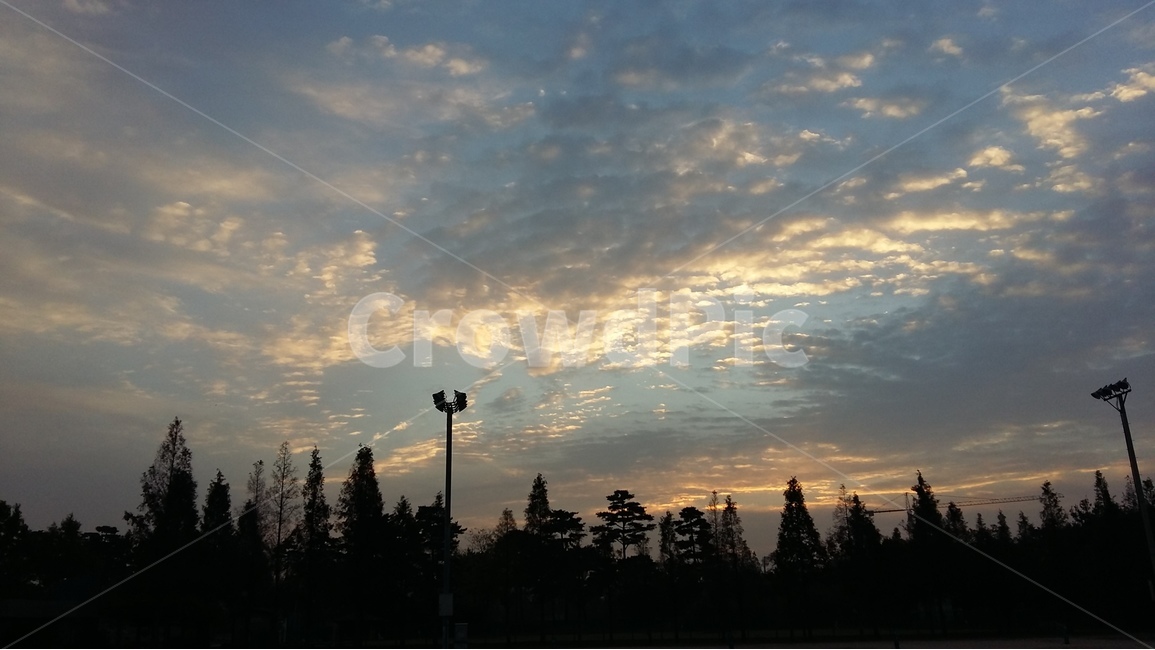 구름,일출,자연,풍경,하늘,나무,cloud,sky,scenery,nature,sunrise,tree,자연,풍경,nature,landscape,plant,식물,outdoors,옥외
