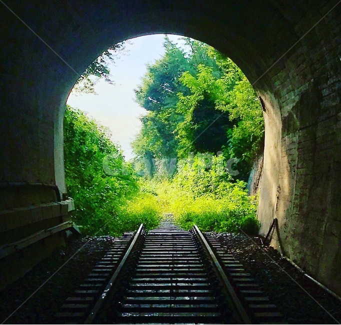자연,터널,기찻길,trainrail,폐역,tunnel,초록빛,자연,풍경,nature,landscape,교통,교통수단,traffic,transportation,rail,레일,train track,railway,철도