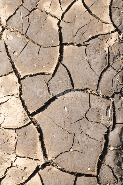 사막화,갈라짐,가뭄,건조함,땅,사막,자연,soil,흙,ground,바닥