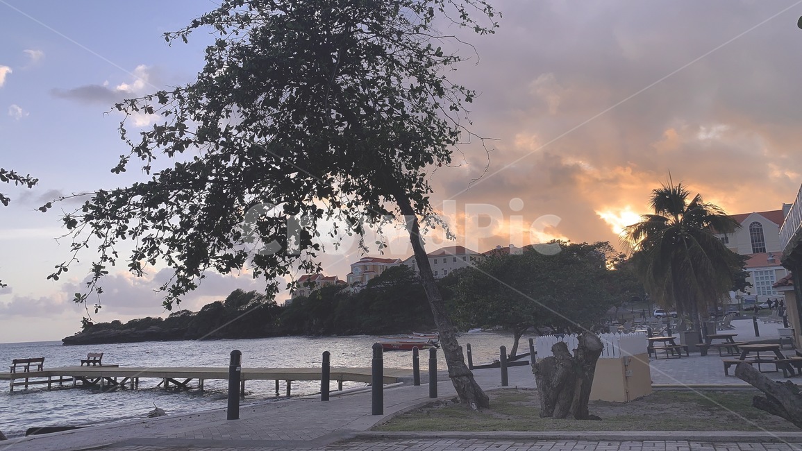 나무,바다,노을,자연,하늘,nature,tree,sunset