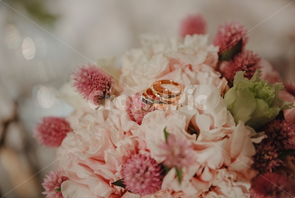 꽃,flowerbouquet,flowerarrangement,꽃부케,결혼,반지,plant,꽃,flower,결혼,혼례,웨딩,wedding,marriage,marry,기념일,축하,anniversary,congratulation,celebrate,celebration,감성,sensible,feeling