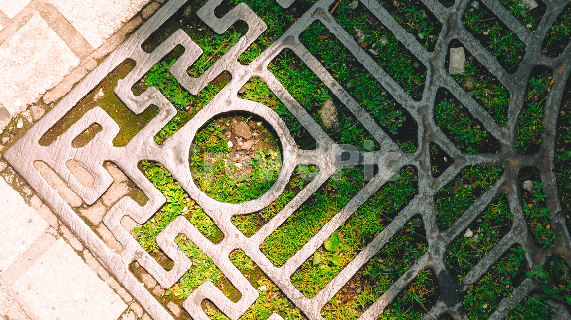 풀잎,패턴,모양,구조,구도,빛,그림자,식물,자연,plants,nature,텍스처,질감,패턴,texture,pattern