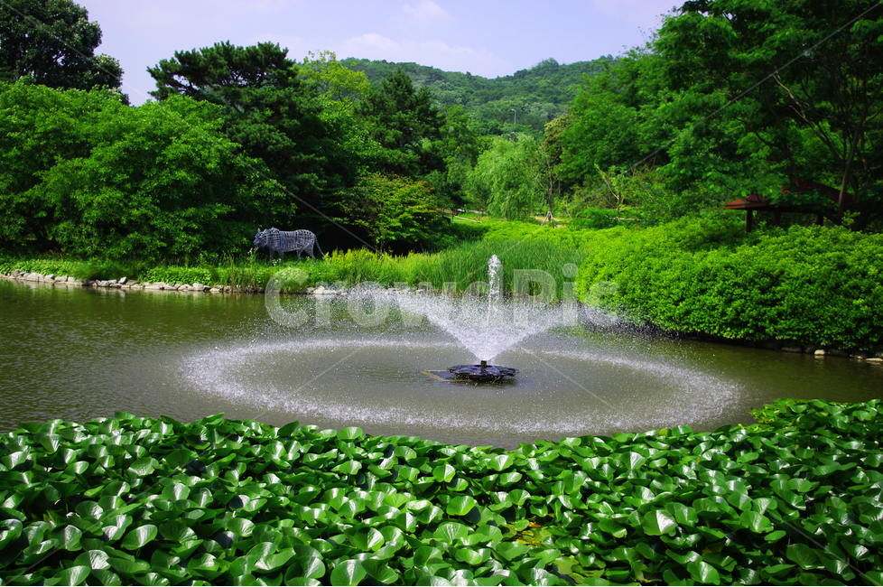분수,자연,color,nature,여름,초록,공원,여름,계절,summer,season,자연,풍경,nature,landscape,water,물,fountain