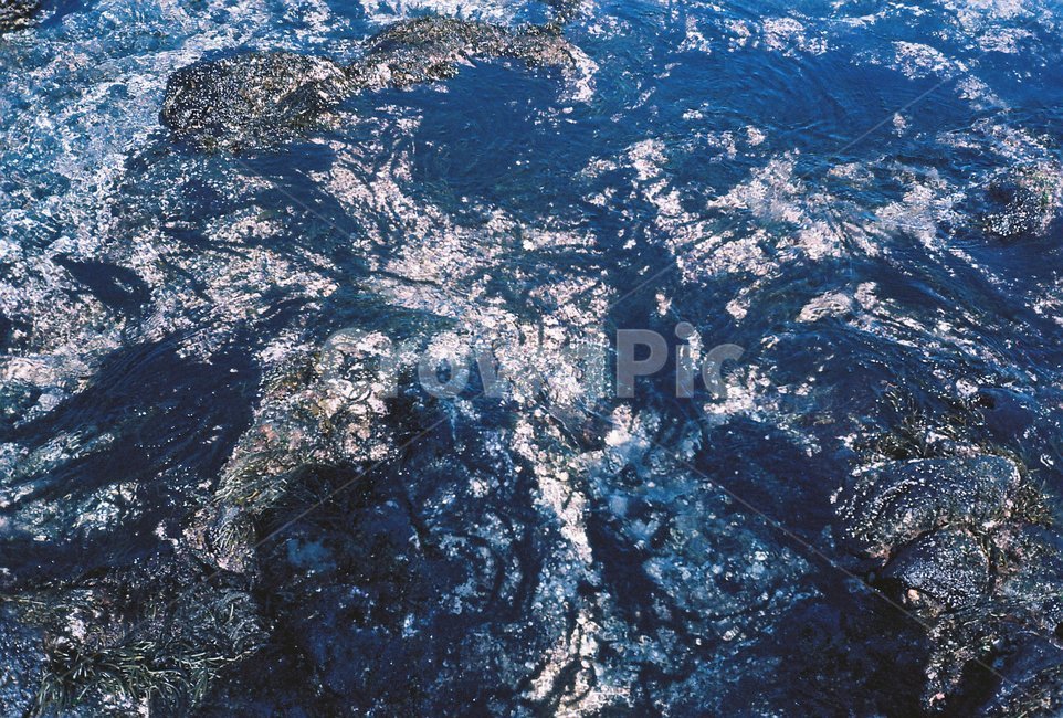 바다,물,바위,맑은물,블루,파랑,필름,filmphoto,자연,풍경,nature,landscape,scenery,outdoors,옥외,경치,aerial view,조감도