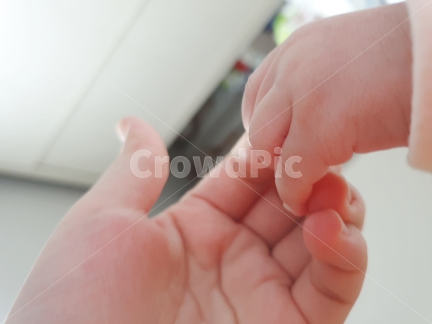아기손,손가락,아기손가락,손잡기,손,가족,패밀리,family