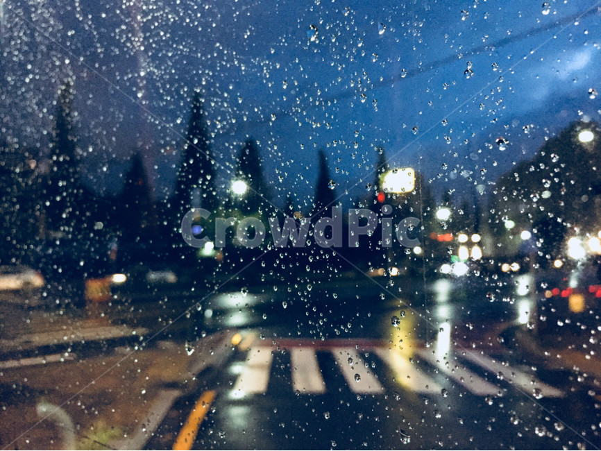 야경,비,비풍경,감성사진,저녁,풍경,흐린,일상,파란색,횡단보도,건축,비사진,유리창,나무,비,비오는날,rain,rainy,교통,교통수단,traffic,transportation