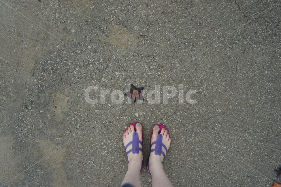 불가사리,여행,여름,바다,발자국,바닷가,강원도,별,여름,계절,summer,season,사람,인물,인간,human,person,신체일부,몸,body
