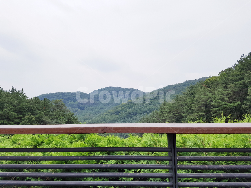 난간,경치,풍경,자연,울타리,초록,banister,산,나무,하늘