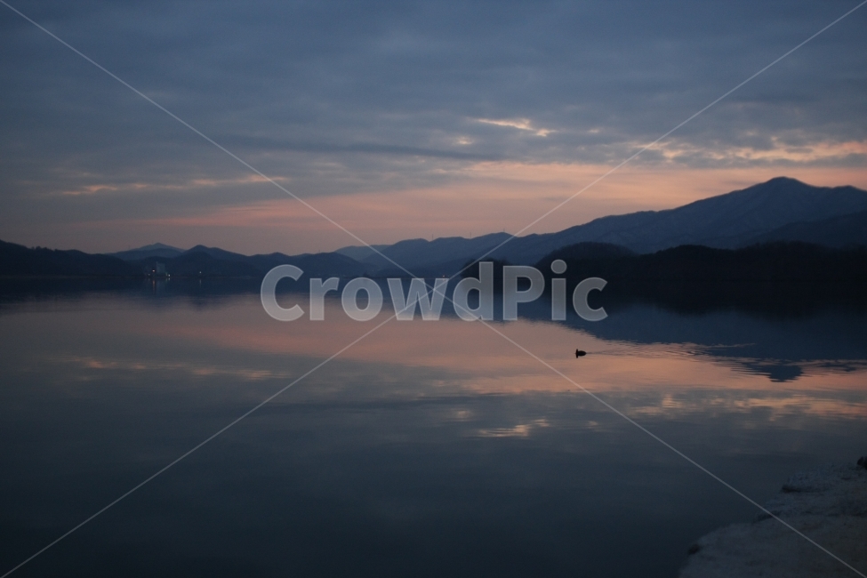고요함,호수,새벽,오리,해질녘,일몰,lake,duck,bird,sunset,자연,풍경,nature,landscape,outdoors,옥외,water,물