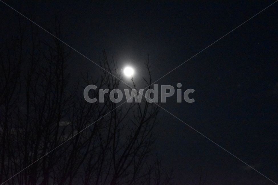 달,겨울의밤,달빛,야경,밤의운치,자연,풍경,nature,landscape,야경,밤,nightscape,night,outdoors,옥외