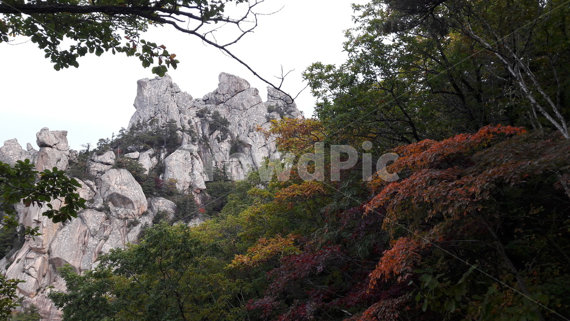설악산,용아장성,봉정암,가을,단풍,가을,계절,fall,autumn,season,자연,풍경,nature,landscape,한국자연풍경,한국자연경관,korea nature landscape,tree,나무,plant,식물,outdoors,옥외