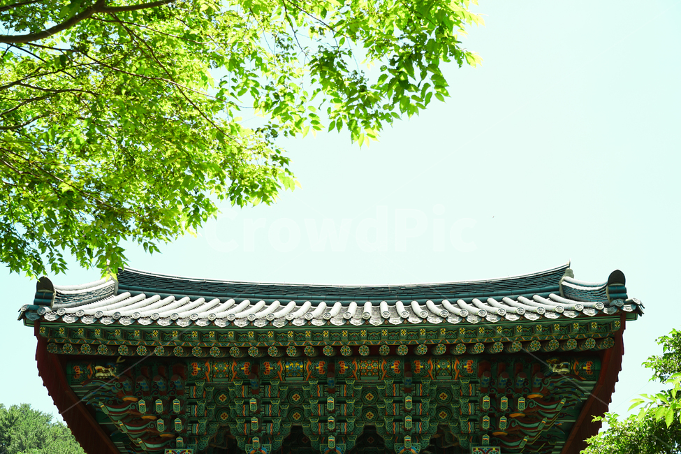 한옥,한국적,기와,처마,전통적,자연,한국전통,한국문화,korean traditional,korean culture,휴식,힐링,rest,relaxation,healing,건축물,건물외관,exterior,building,structure,architecture,construction