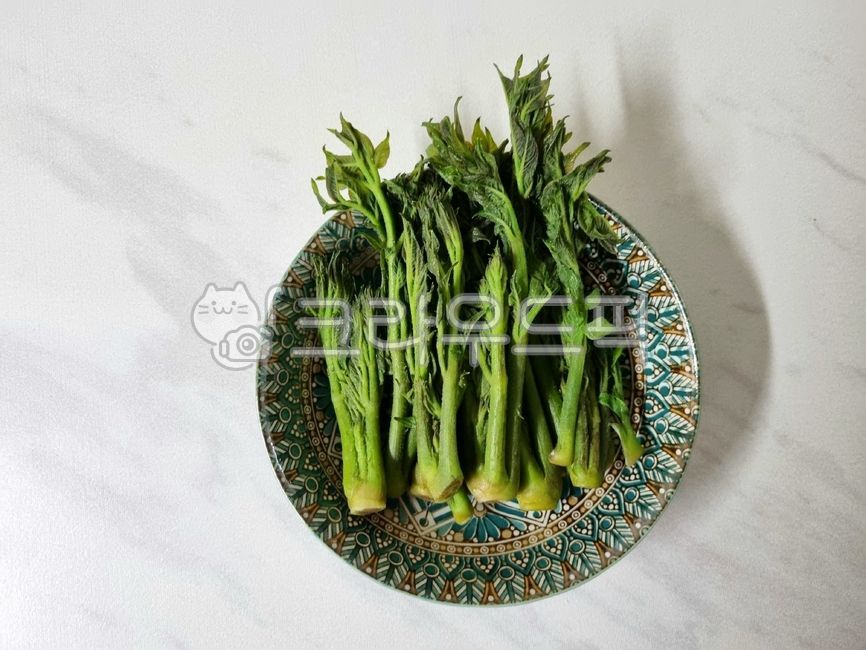 음식,food,두릅,참두릅,땅두릅,araliacordatanakai,fatsiasprout,araliasprout,dureup,식재료,요리재료,음식재료,foodstuff,cookingmaterial,foodmaterial