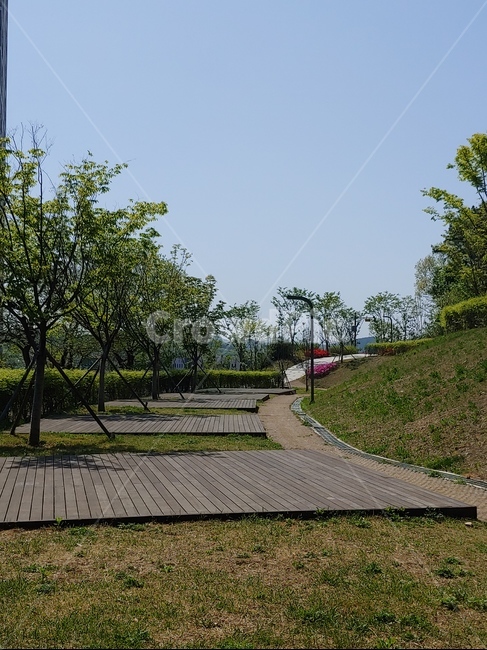 캠핑장,숲,캠핑,공원,휴식