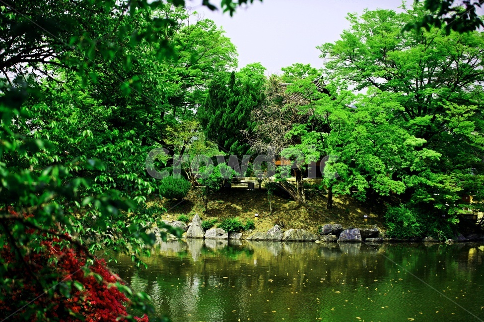 저수지,물,자연,나무,풍경,자연,풍경,nature,landscape