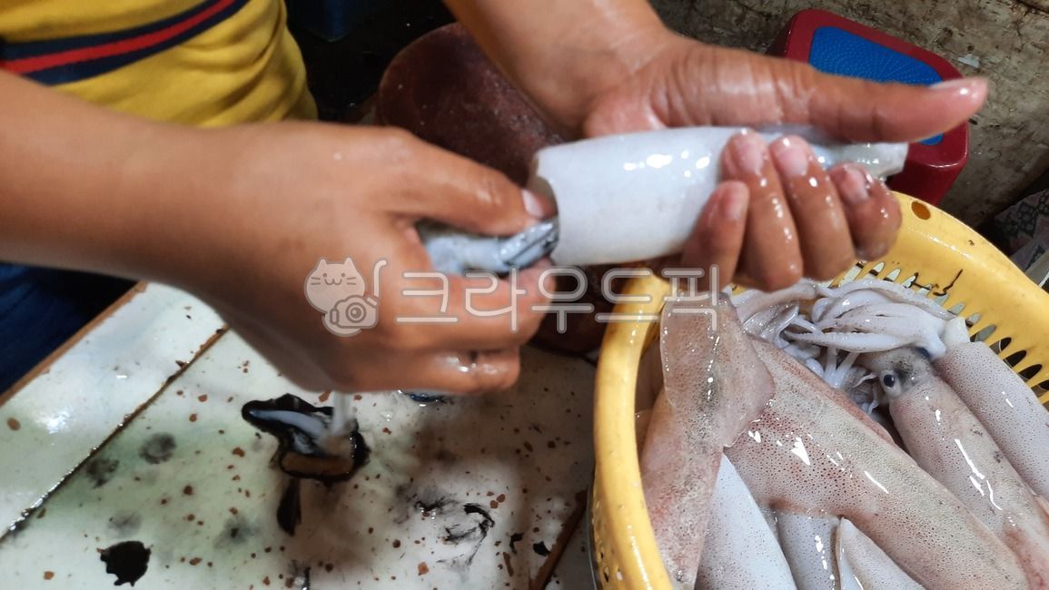 seafood,Preparing squid,cook,calamari,Philippine Squid,cooking,squid,food,marine life