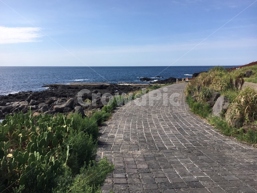 길,제주,바다,여유,하늘,자연,풍경,nature,landscape,walkway,보도,path,통로