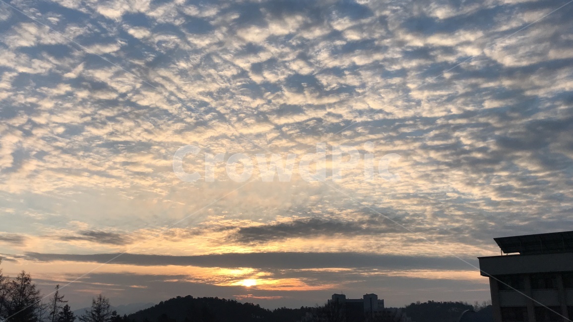 해돋이,새해,뭉개구름,감탄,하늘,자연,풍경,nature,landscape,outdoors,옥외,sky