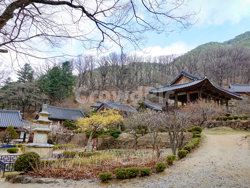 부석사,영주부석사,고찰,사찰경내,화엄종도량